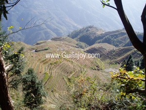 Longsheng